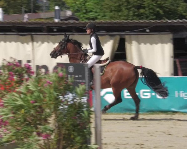 Reitturnier Oberderdingen 2022