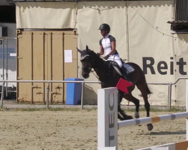 Reitturnier Oberderdingen 2022