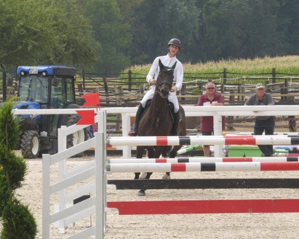 Reitturnier Gundelfingen 2022