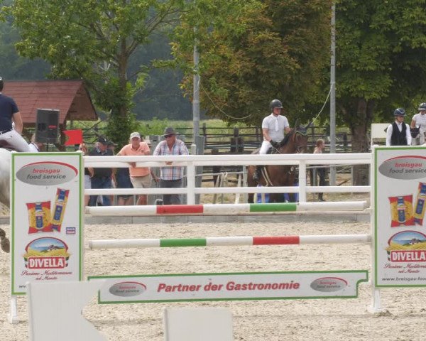 Reitturnier Gundelfingen 2022