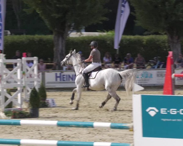 Reitturnier Oberderdingen 2022