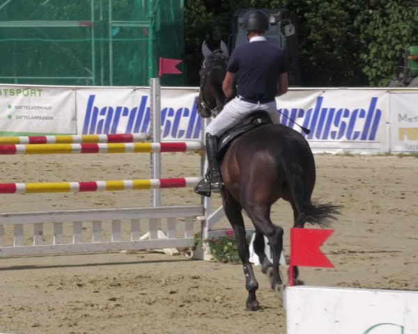 Reitturnier Oberderdingen 2022