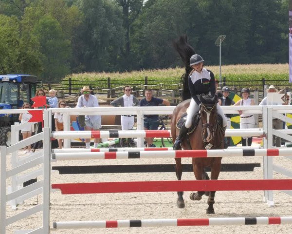 Reitturnier Gundelfingen 2022