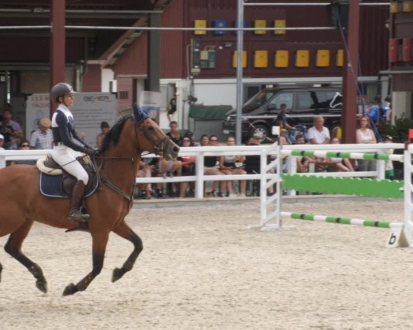 Reitturnier Gundelfingen 2022