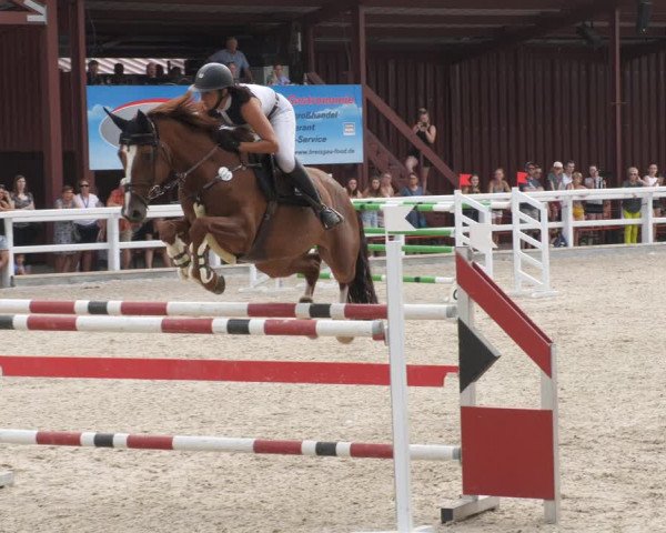 Reitturnier Gundelfingen 2022