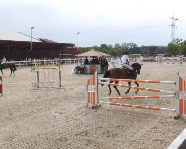 Reitturnier Gundelfingen 2022