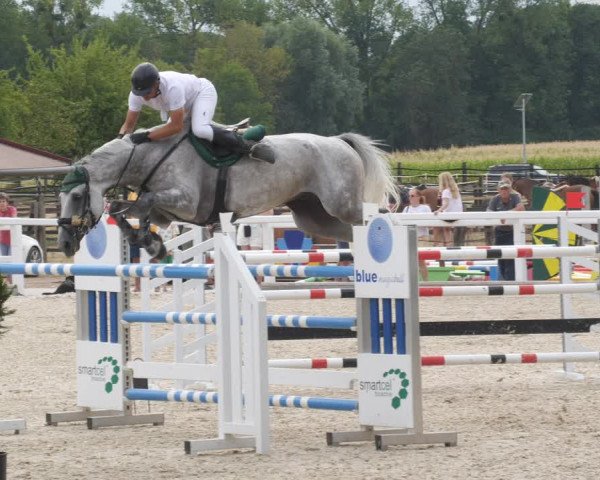 Reitturnier Gundelfingen 2022