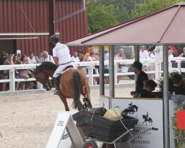 Reitturnier Gundelfingen 2022