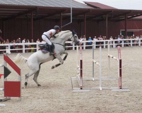 Reitturnier Gundelfingen 2022