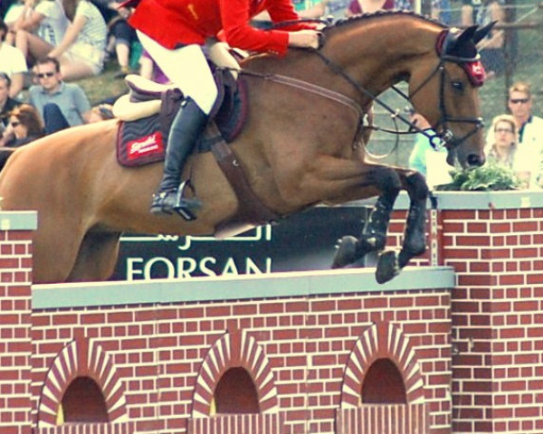 jumper Lucky Lord 20 (Bavarian, 2002, from Lux Z) jumper Lucky Lord 20 (Bavarian, 2002, from Lux Z)