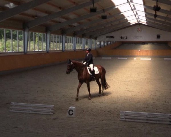 Reitturnier Münster-Amelsbüren 2022