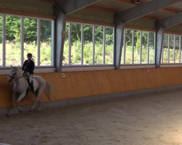 Reitturnier Münster-Amelsbüren 2022
