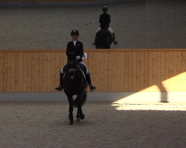 Reitturnier Münster-Amelsbüren 2022