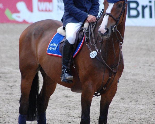 Springpferd Urolux (KWPN (Niederländisches Warmblut), 2001, von Lux Z)