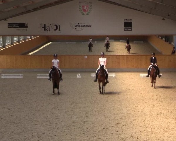 Reitturnier Münster-Amelsbüren 2022