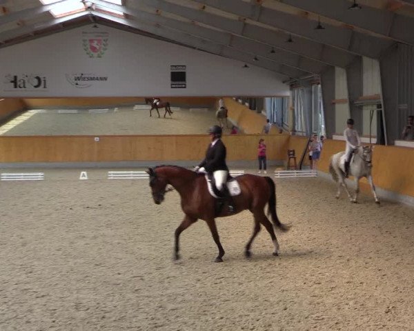 Reitturnier Münster-Amelsbüren 2022