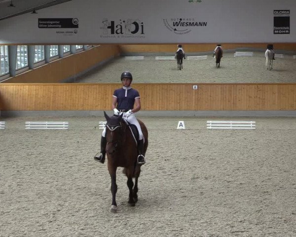 Reitturnier Münster-Amelsbüren 2022