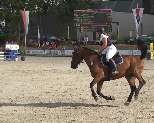 Reitturnier Grafenrheinfeld/Ufr. 2022