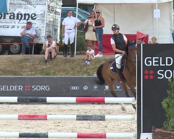 Reitturnier Grafenrheinfeld/Ufr. 2022