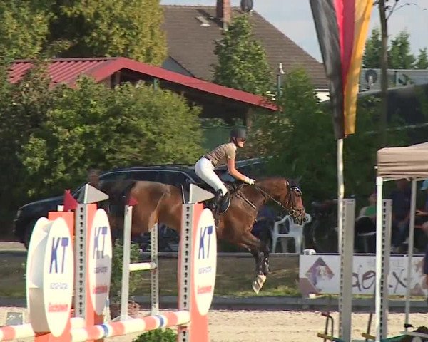 Reitturnier Grafenrheinfeld/Ufr. 2022