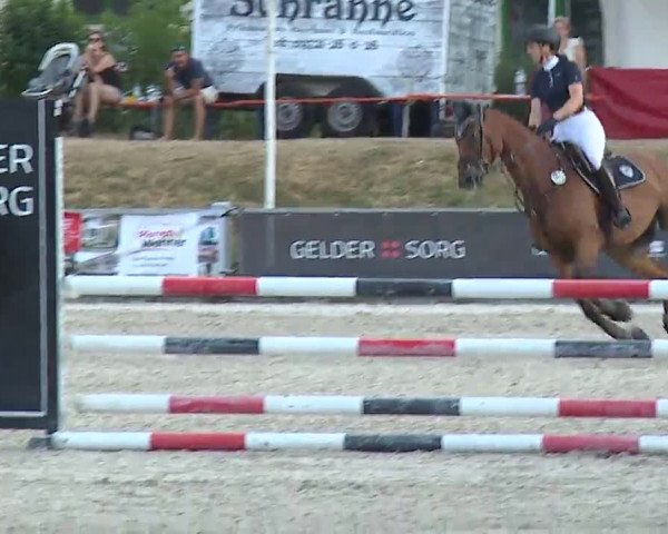 Reitturnier Grafenrheinfeld/Ufr. 2022