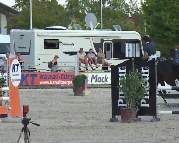 Reitturnier Grafenrheinfeld/Ufr. 2022