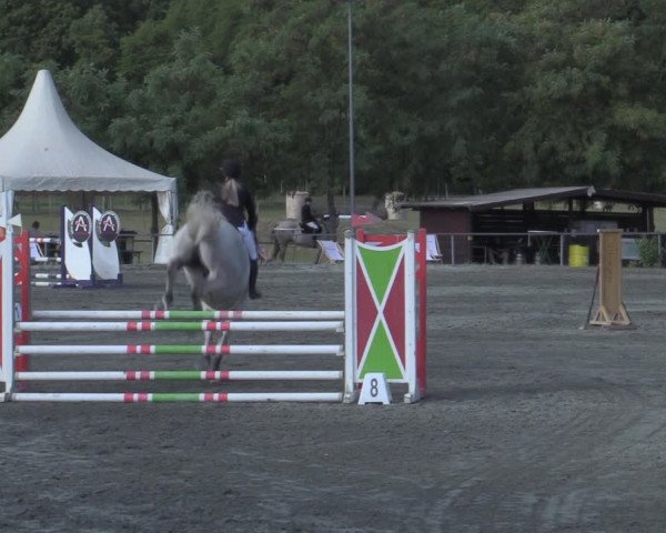 Reitturnier Horitschon 2022
