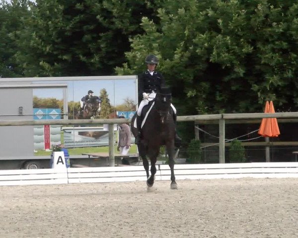 Reitturnier Dompierre 2022