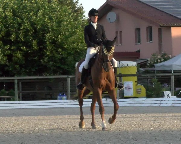 Reitturnier Dompierre 2022