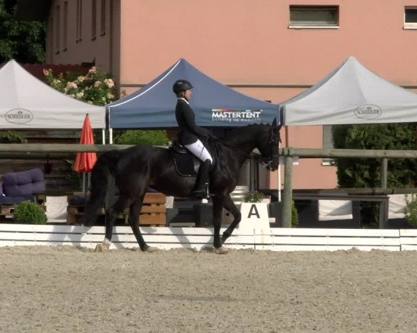 Reitturnier Dompierre 2022