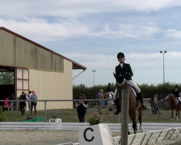 Reitturnier Dompierre 2022