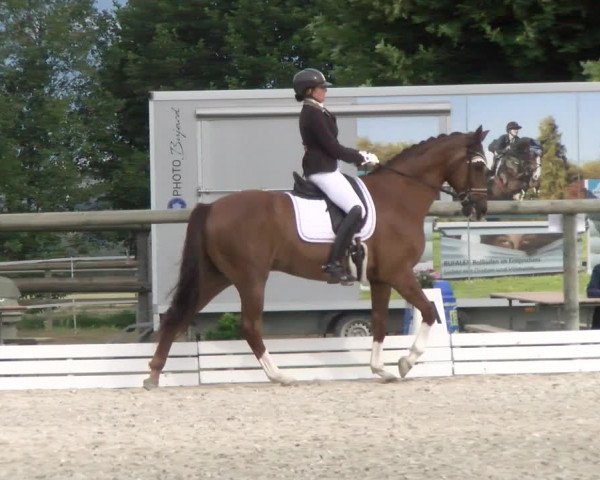 Reitturnier Dompierre 2022