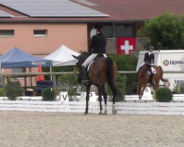Reitturnier Dompierre 2022