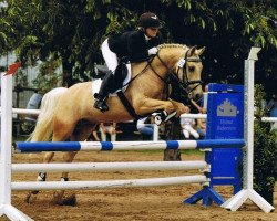 dressage horse Don Pompadour (Danish Reitpony, 2002)