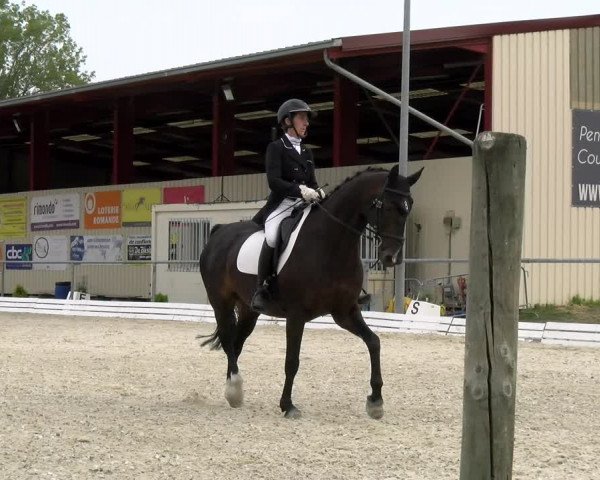 Reitturnier Dompierre 2022