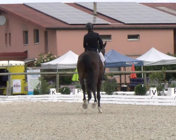 Reitturnier Dompierre 2022