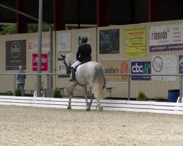 Reitturnier Dompierre 2022