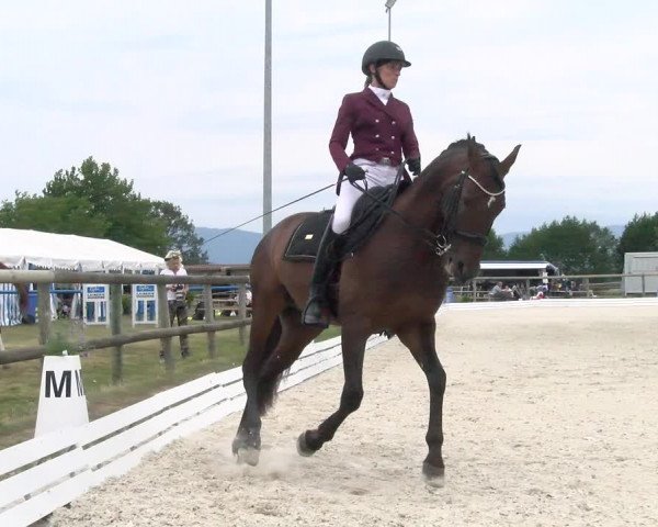 Reitturnier Dompierre 2022