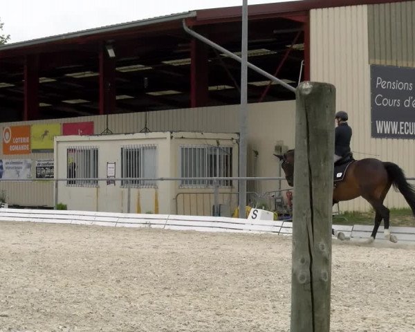 Reitturnier Dompierre 2022
