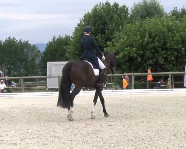 Reitturnier Dompierre 2022