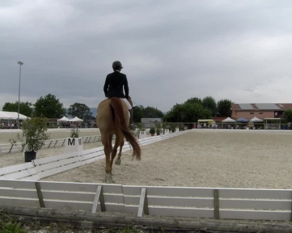 Reitturnier Dompierre 2022