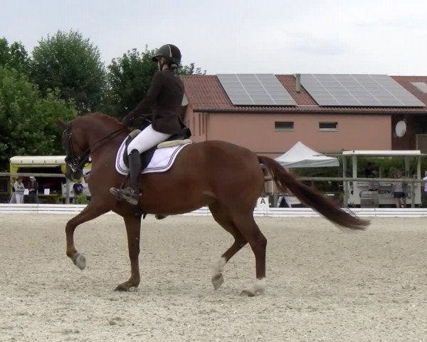 Reitturnier Dompierre 2022