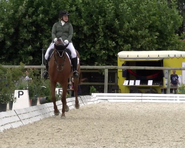 Reitturnier Dompierre 2022