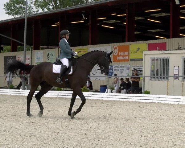 Reitturnier Dompierre 2022