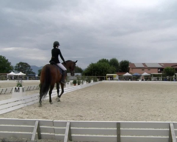 Reitturnier Dompierre 2022