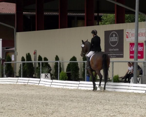 Reitturnier Dompierre 2022