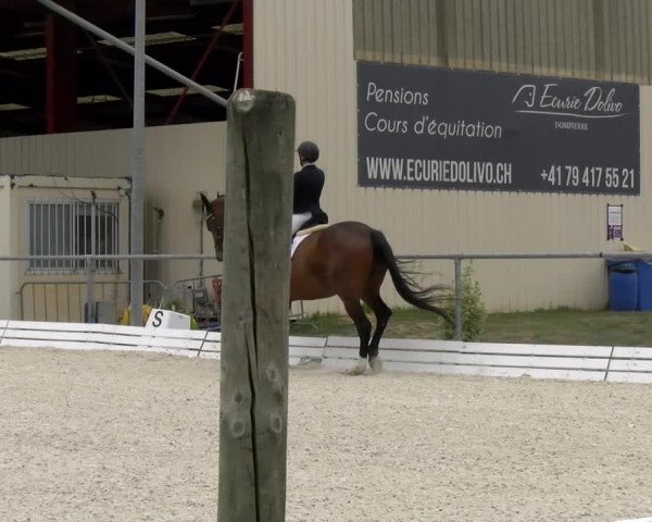 Reitturnier Dompierre 2022