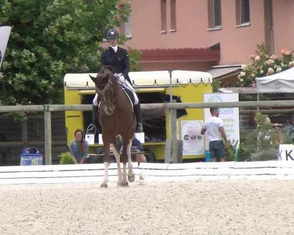 Reitturnier Dompierre 2022