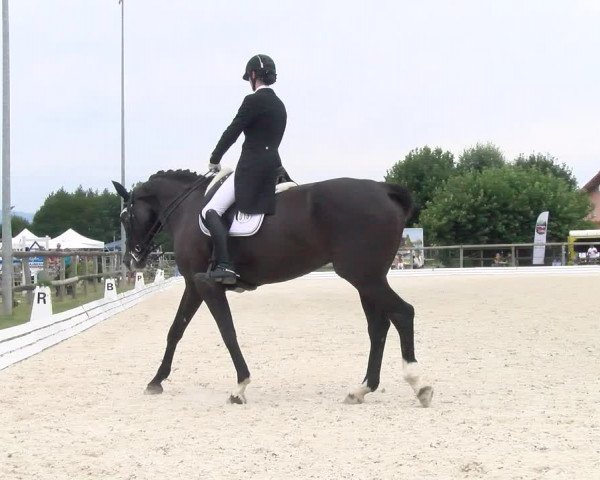 Reitturnier Dompierre 2022