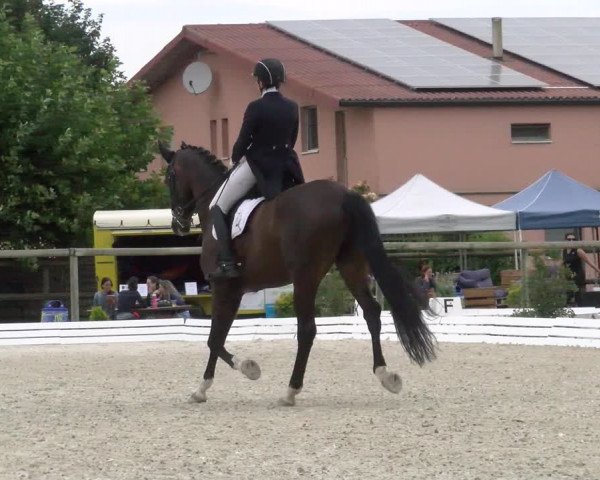 Reitturnier Dompierre 2022